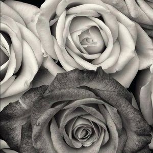 Meet your Posher, Destiny